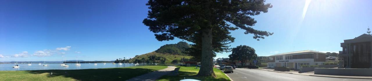 Westhaven Motel Tauranga Exterior foto
